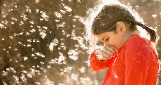 柳絮“四月飛雪”，瑞典VARKI新風為您保駕護航