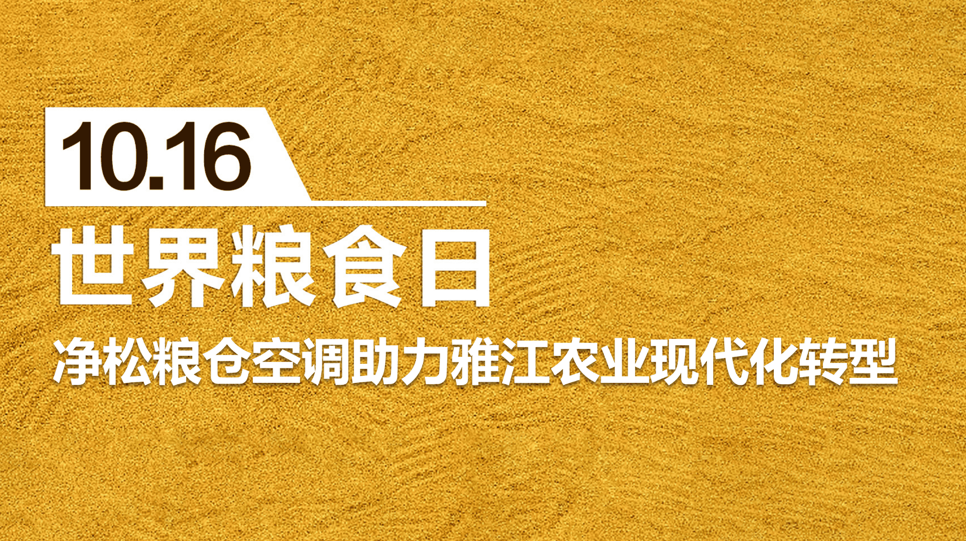 糧安天下，凈松糧倉空調(diào)助力雅江農(nóng)業(yè)現(xiàn)代化轉(zhuǎn)型