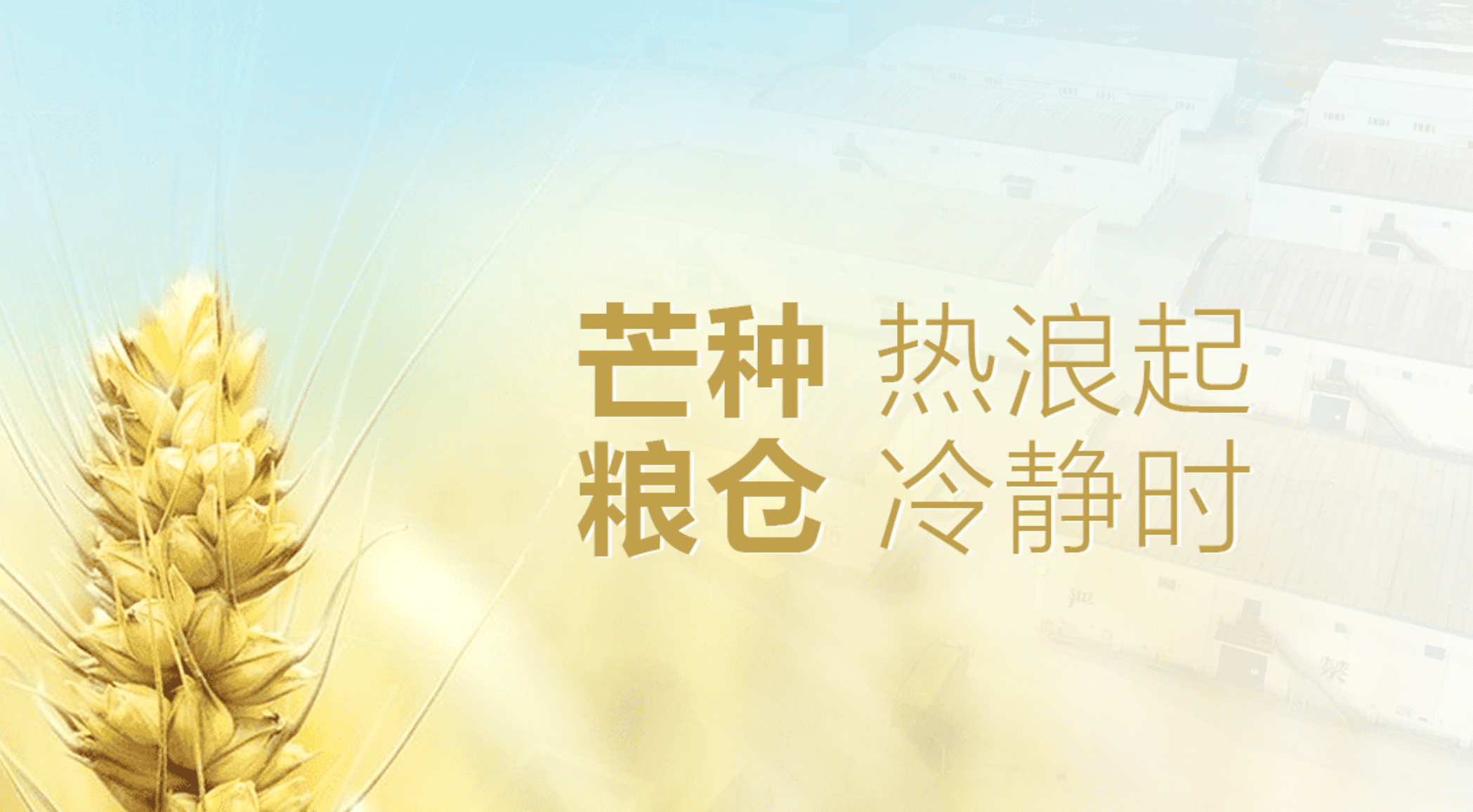 芒種熱浪起，糧倉“冷靜”時：凈松糧倉空調守護糧倉安全