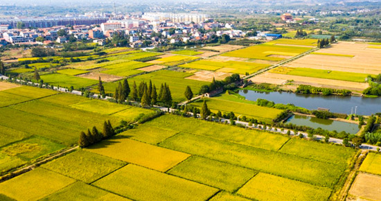 凈松糧倉(cāng)空調(diào)入駐安徽蕪湖國(guó)良雙鳳糧庫(kù)