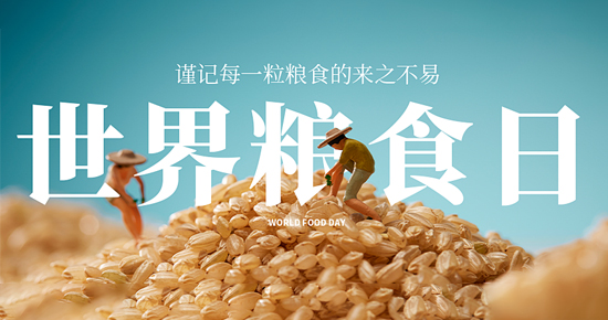 世界糧食日，凈松糧倉空調落戶山西長治，以科技硬實力筑牢糧食儲備安全屏障